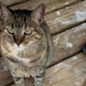 Meet your Posher, Marisol